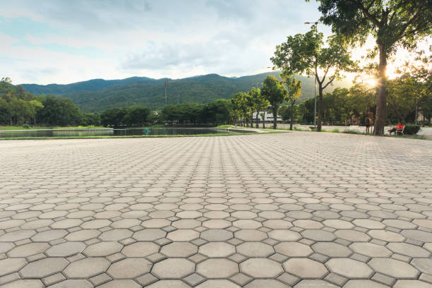 Best Driveway Repair Near Me  in Wentworth, NC